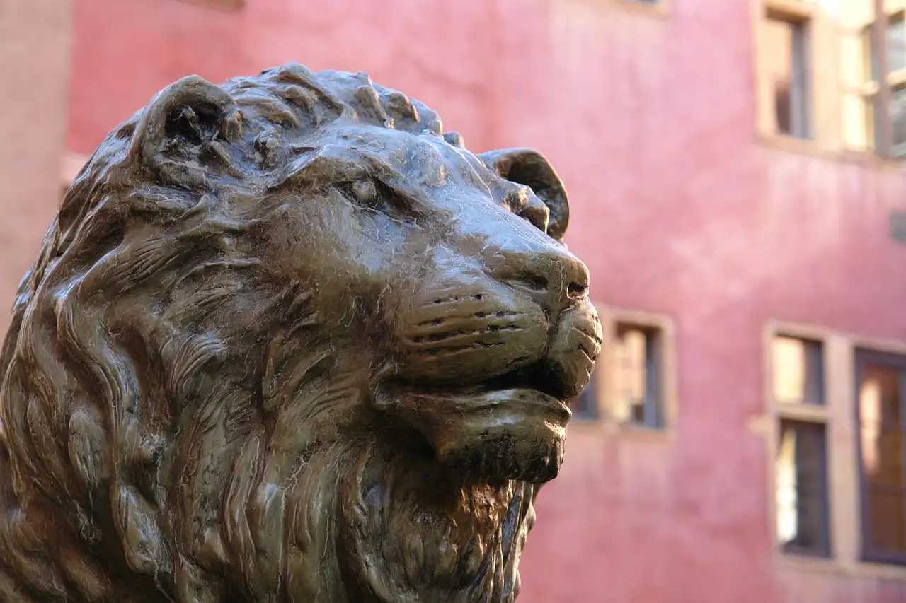 Découvrez les collections du Musée des Beaux-Arts de Lyon