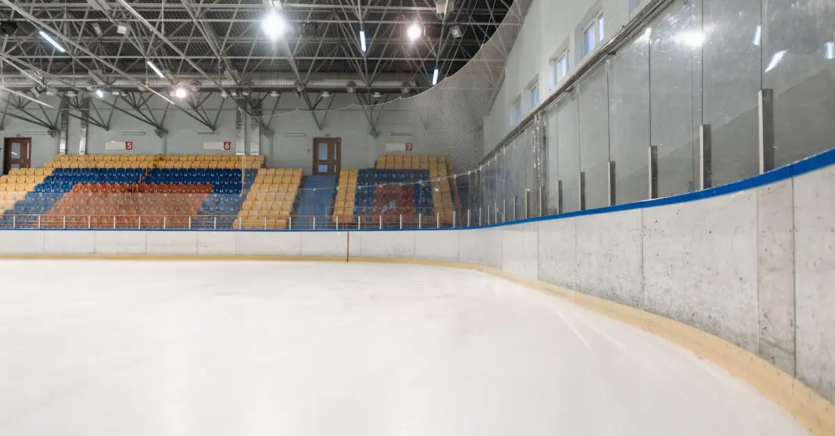 Patinoire Lyon : Glace et Loisirs au Cœur de la Ville